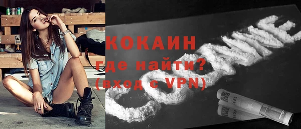 прущие грибы Армянск