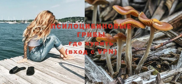 соль ск Аркадак