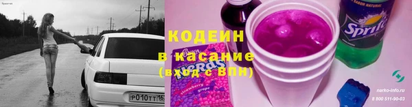 прущие грибы Армянск