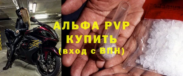 прущие грибы Армянск