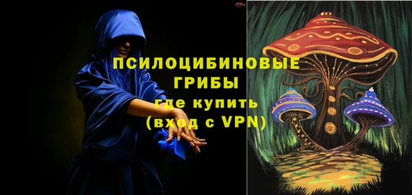 прущие грибы Армянск