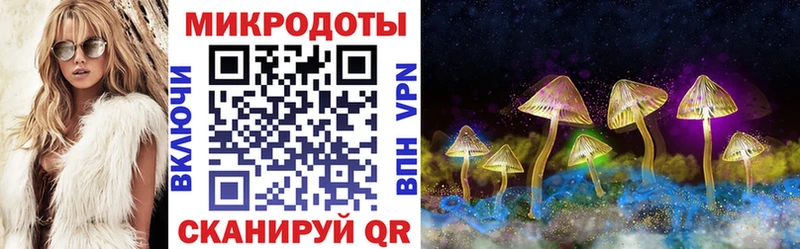 Галлюциногенные грибы GOLDEN TEACHER  Купить  Струнино 
